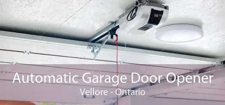 Automatic Garage Door Opener Vellore - Ontario