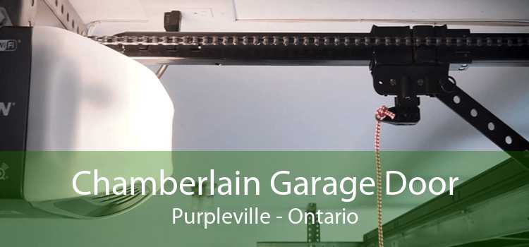 Chamberlain Garage Door Purpleville - Ontario