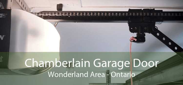 Chamberlain Garage Door Wonderland Area - Ontario