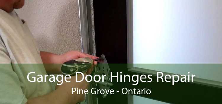 Garage Door Hinges Repair Pine Grove - Ontario