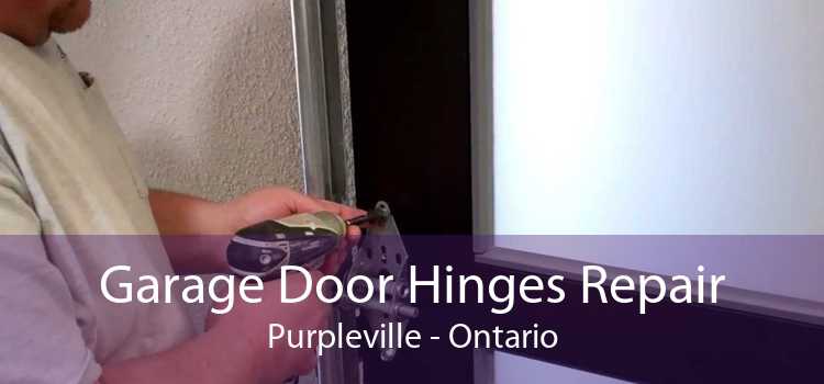 Garage Door Hinges Repair Purpleville - Ontario