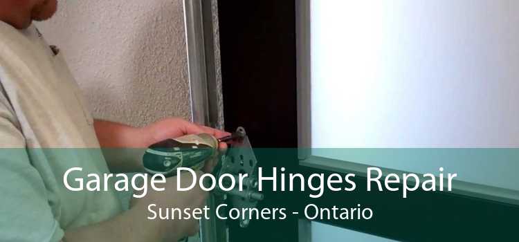 Garage Door Hinges Repair Sunset Corners - Ontario