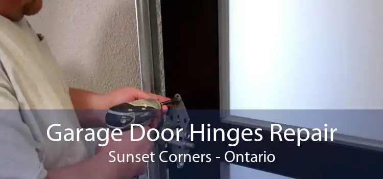 Garage Door Hinges Repair Sunset Corners - Ontario