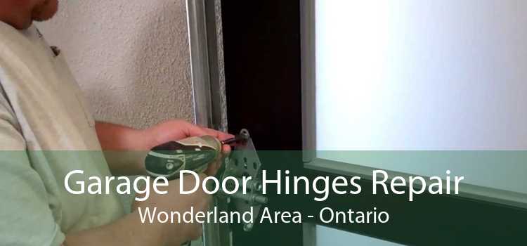 Garage Door Hinges Repair Wonderland Area - Ontario