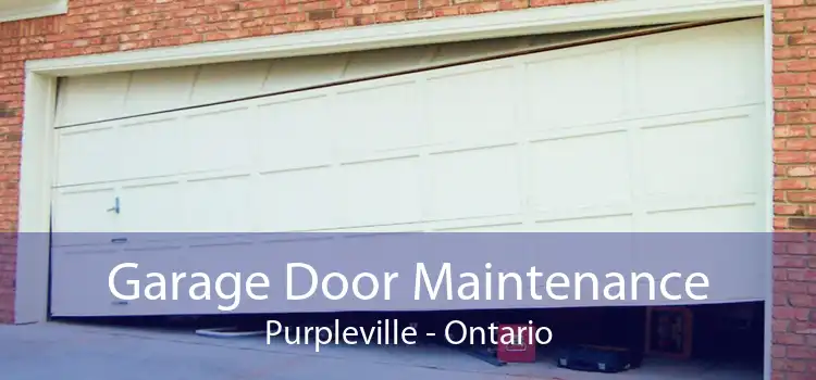 Garage Door Maintenance Purpleville - Ontario