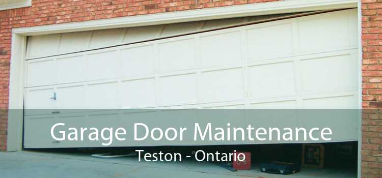 Garage Door Maintenance Teston - Ontario