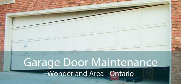 Garage Door Maintenance Wonderland Area - Ontario