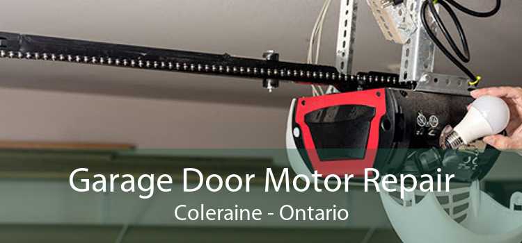 Garage Door Motor Repair Coleraine - Ontario