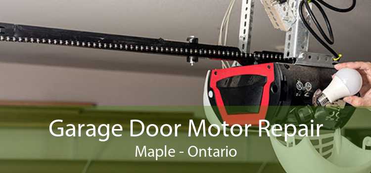 Garage Door Motor Repair Maple - Ontario