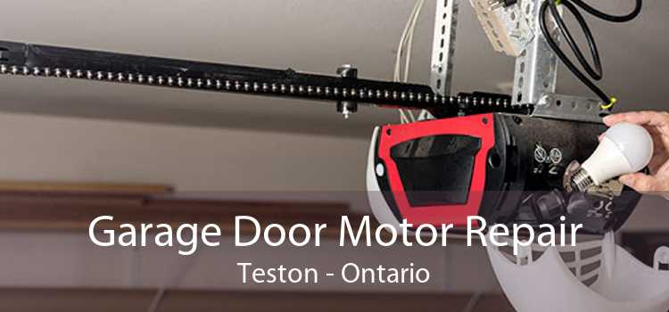 Garage Door Motor Repair Teston - Ontario