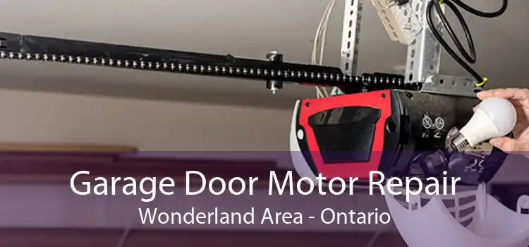 Garage Door Motor Repair Wonderland Area - Ontario