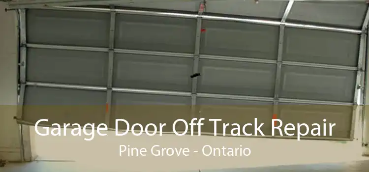 Garage Door Off Track Repair Pine Grove - Ontario