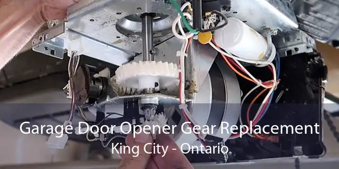 Garage Door Opener Gear Replacement King City - Ontario