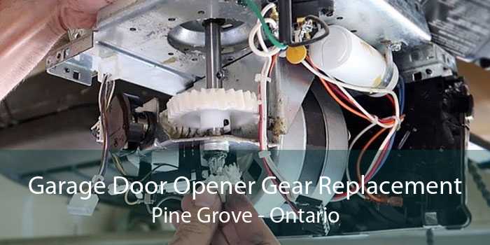 Garage Door Opener Gear Replacement Pine Grove - Ontario