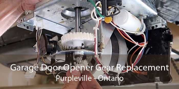 Garage Door Opener Gear Replacement Purpleville - Ontario