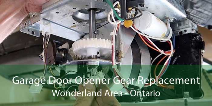 Garage Door Opener Gear Replacement Wonderland Area - Ontario