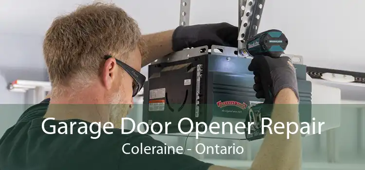 Garage Door Opener Repair Coleraine - Ontario