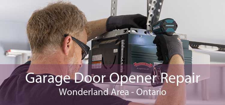 Garage Door Opener Repair Wonderland Area - Ontario