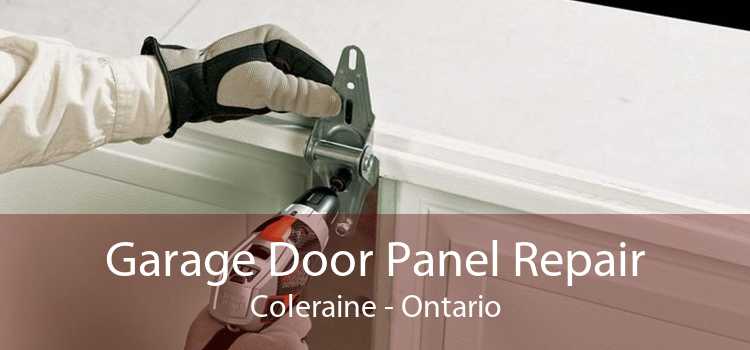 Garage Door Panel Repair Coleraine - Ontario