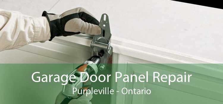 Garage Door Panel Repair Purpleville - Ontario