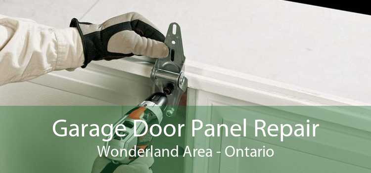 Garage Door Panel Repair Wonderland Area - Ontario