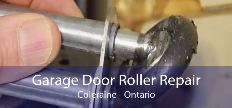 Garage Door Roller Repair Coleraine - Ontario