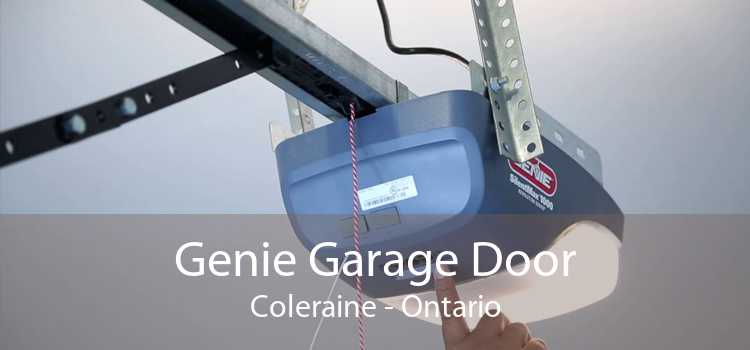 Genie Garage Door Coleraine - Ontario