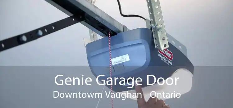 Genie Garage Door Downtowm Vaughan - Ontario