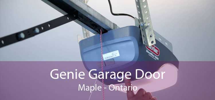 Genie Garage Door Maple - Ontario