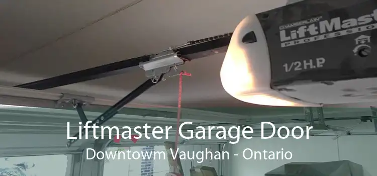Liftmaster Garage Door Downtowm Vaughan - Ontario