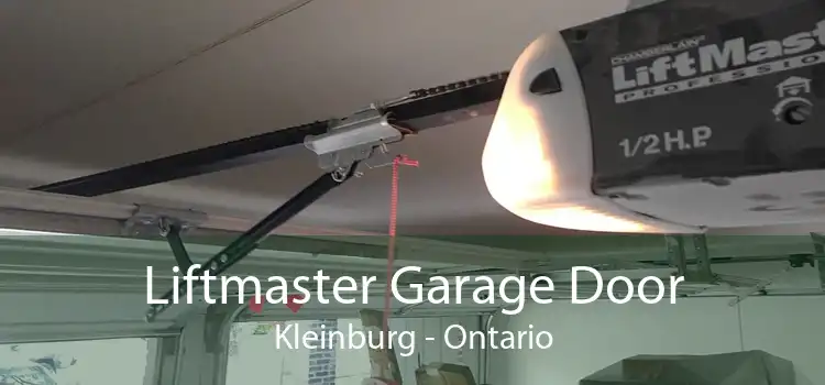 Liftmaster Garage Door Kleinburg - Ontario