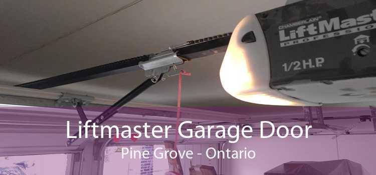 Liftmaster Garage Door Pine Grove - Ontario