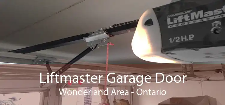 Liftmaster Garage Door Wonderland Area - Ontario