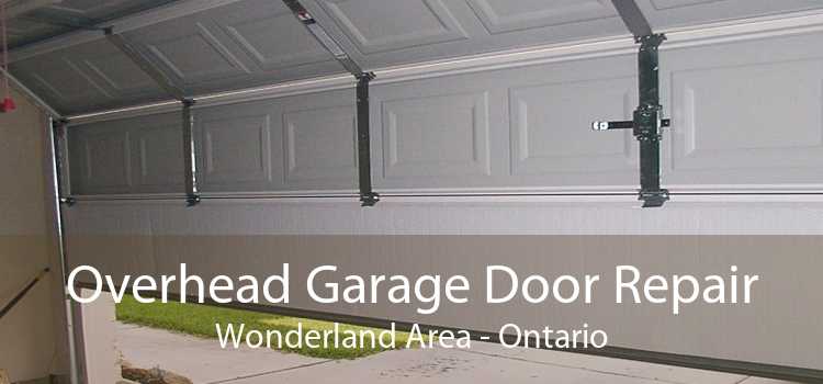 Overhead Garage Door Repair Wonderland Area - Ontario