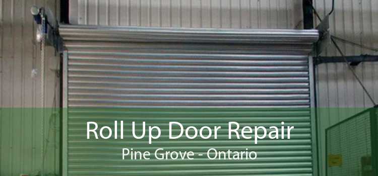 Roll Up Door Repair Pine Grove - Ontario